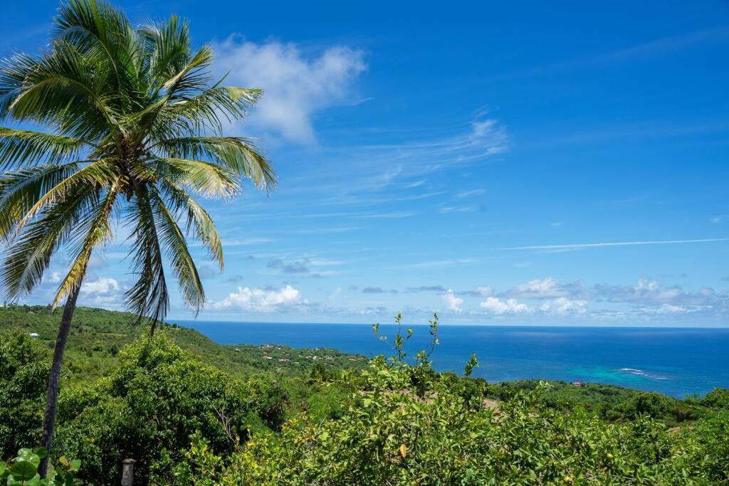 CapesterreDomaine Des Tourterelles别墅 外观 照片