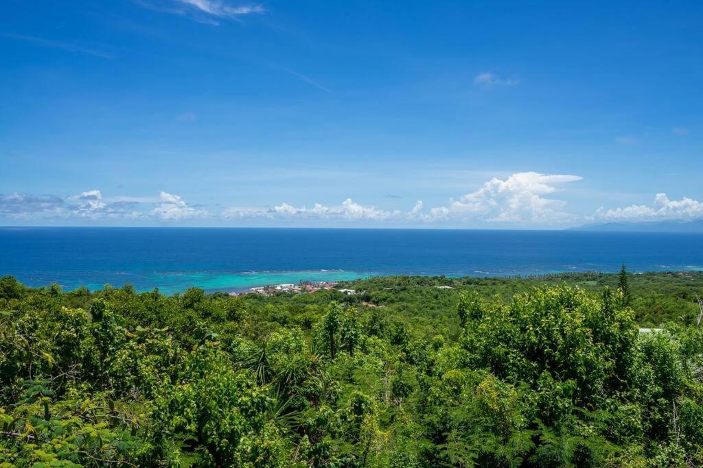 CapesterreDomaine Des Tourterelles别墅 外观 照片